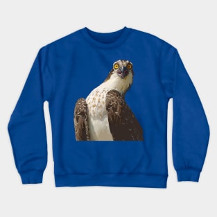 Osprey 1: Silly Crewneck Sweatshirt